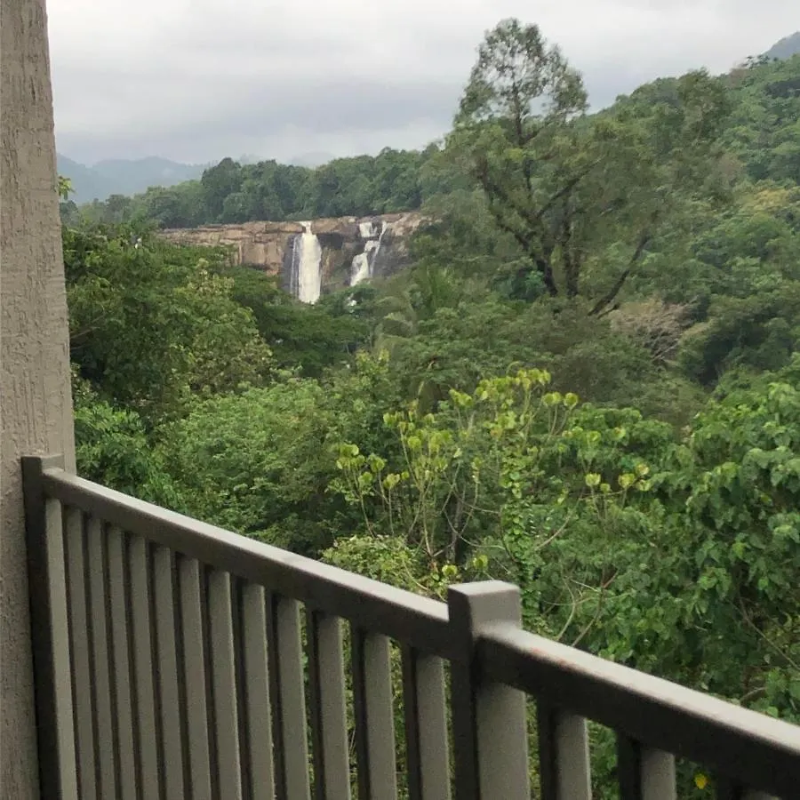 ***** 호텔 Niraamaya Retreats Samroha Athirappilly 인도